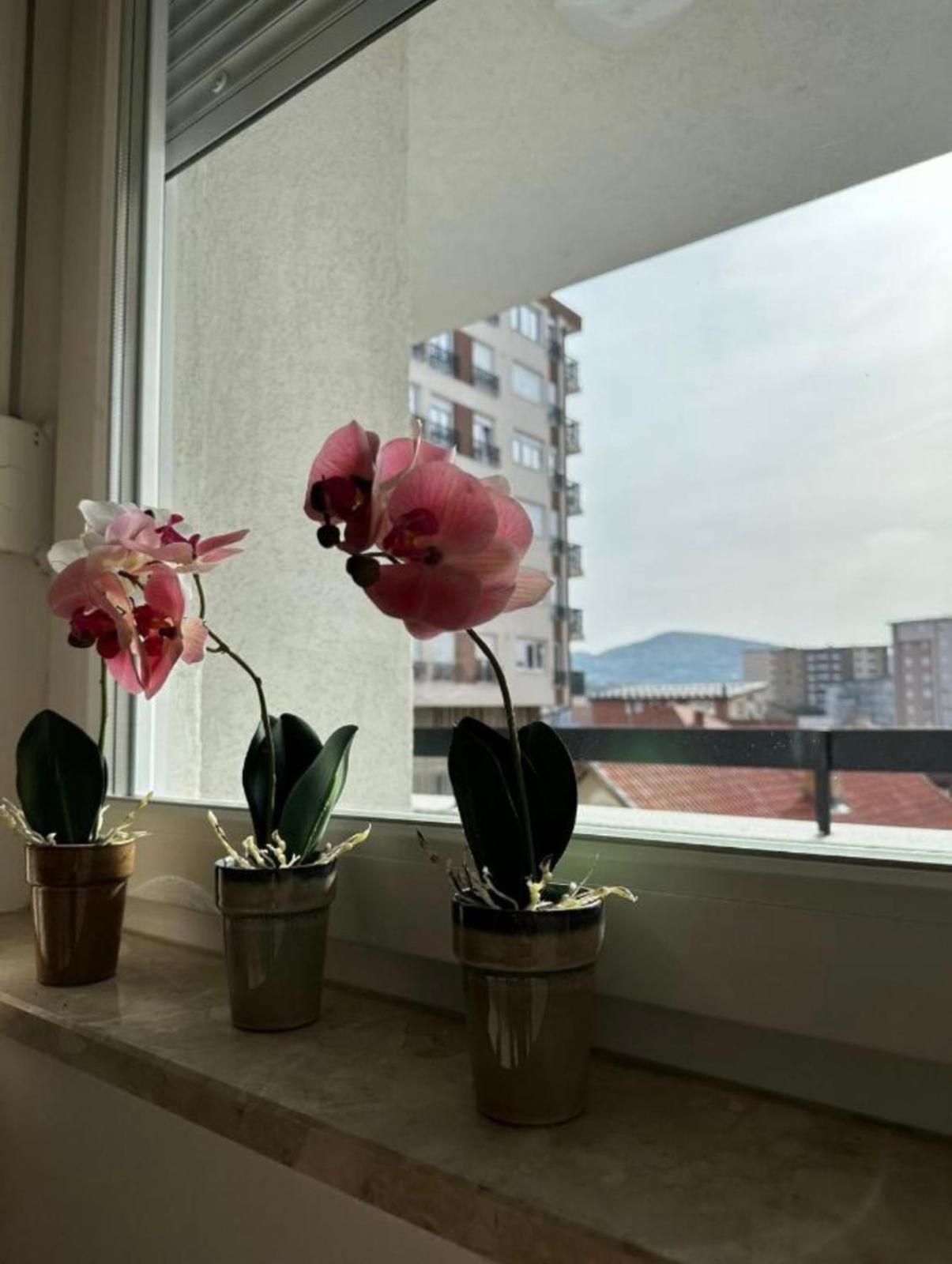 Apartmani Imperial Novi Pazar Exteriör bild